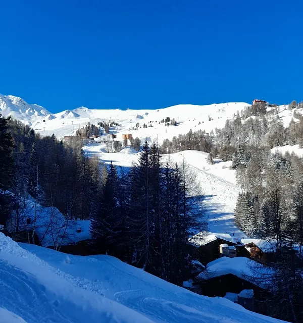 montagne 